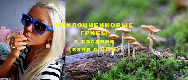 прущая мука Нея