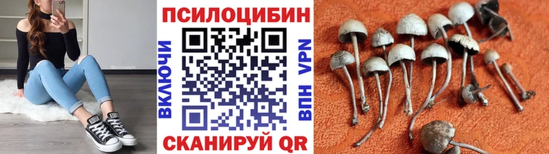 Галлюциногенные грибы Psilocybe  наркота  дарк нет как зайти  Ливны 