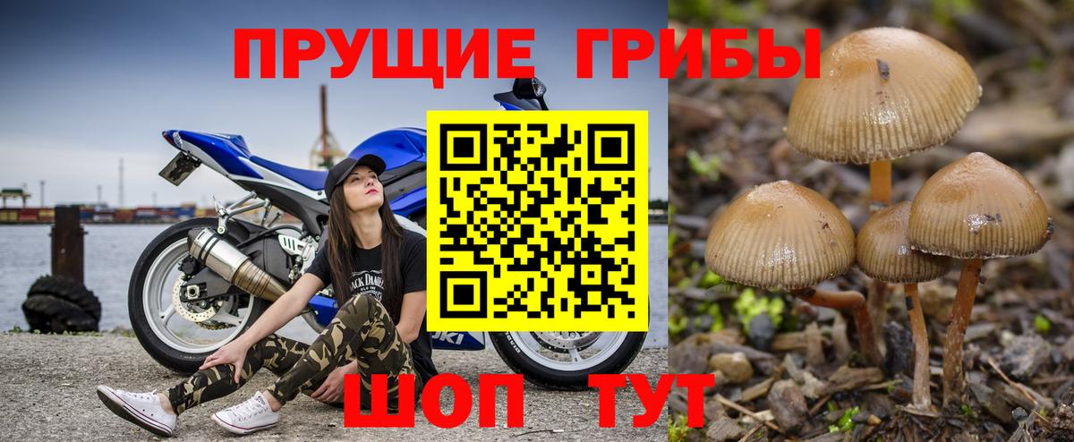 Галлюциногенные грибы MAGIC MUSHROOMS Ливны