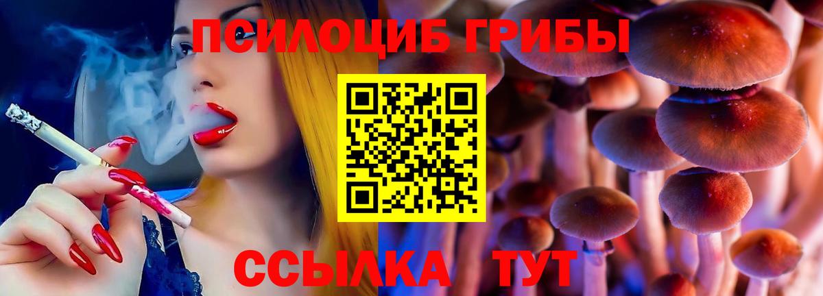 Ливны  Псилоцибиновые грибы Psilocybe  Вход с VPN  Галлюциногенные грибы Psilocybine cubensis 